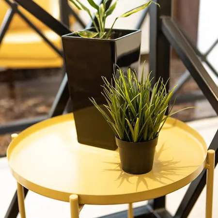 Garni House 46 3* Beograd