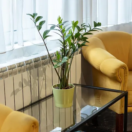 Garni House 46 Bed & Breakfast Beograd